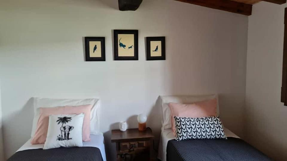 Casa Da Ti Adelia Villa Janeiro de Cima ภายนอก รูปภาพ